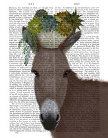 Framed Donkey Succulent Book Print