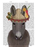 Framed Donkey Sombrero Book Print