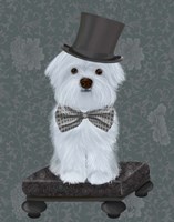 Framed Maltese with Top Hat