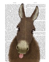 Framed Funny Farm Donkey 1 Book Print