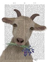 Framed Goat and Bluebells Book Print