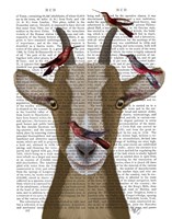 Framed Goat and Red Birds Book Print