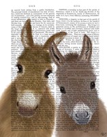 Framed Donkey Duo, Looking at You Book Print