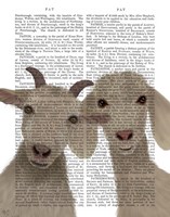 Framed Goat Duo, Looking at You Book Print