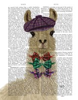 Framed Llama Dapper Book Print