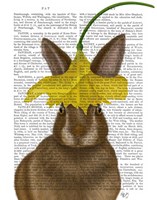 Framed Daffodil Rabbit Book Print