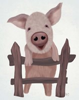 Framed Pig On Fence