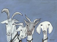 Framed Goats
