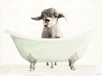 Framed Vintage Tub with Goat