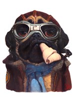 Framed Aviator Pug