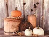 Framed Autumn Pumpkins