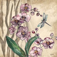 Framed 'Boho Orchid & Dragonfly I' border=