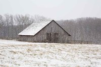 Framed First Snow