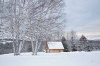 Framed Barn with a View