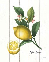 Framed 'Cottage Lemon I' border=