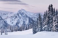 Framed Tatoosh Range