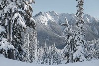 Framed Nooksack Ridge in Winter