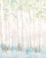 Framed 'Soft Birches III' border=