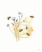 Framed 'Bees and Botanicals I' border=