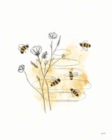 Framed Bees and Botanicals I