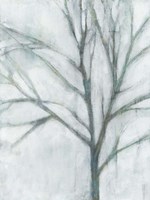 Framed Tree with White Sky I