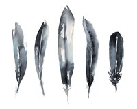Framed Indigo Feathers II