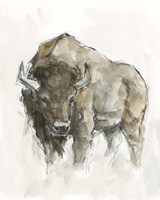 Framed American Buffalo II
