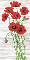 Framed Red Poppy Panel I