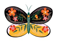 Framed Butterfly Petals II