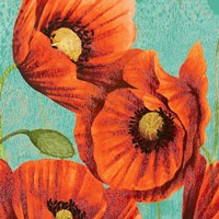 Framed 'Red Poppies on Teal II' border=