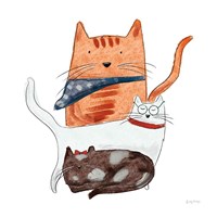 Framed Playful Pets Cats II