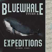 Framed Blue Whale Tours