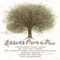 Framed Lessons From a Tree