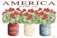 Framed America Glass Jars