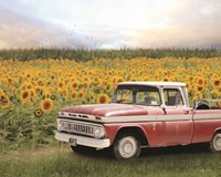 Framed Truck with Sunflowers