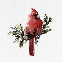 Framed 'Cardinal with Snow I' border=