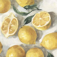 Framed Fresh Lemons II