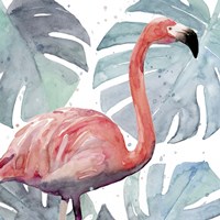 Framed 'Flamingo Splash I' border=