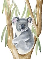 Framed Woodland Koala I