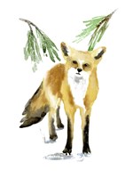 Framed Snowy Fox II
