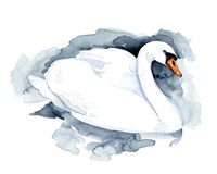 Framed Silverlake Swan I