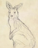 Framed Outback Sketch IV