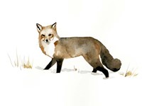 Framed Winter Fox II