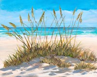 Framed Beach Grass