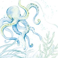 Framed Blue Octopus