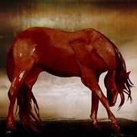 Framed 'Red Horse I' border=