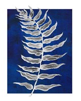 Framed Blue Fern in White Border I