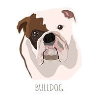 Framed Bull Dog