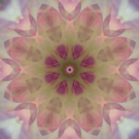 Framed Colorful Kaleidoscope 8