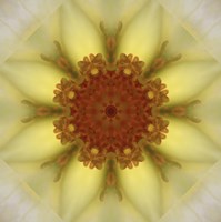 Framed Colorful Kaleidoscope 21